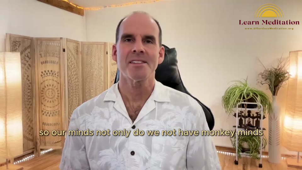 Not a Monkey Mind
